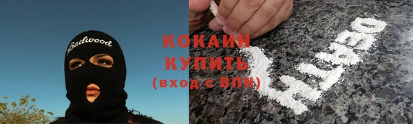 2c-b Гусев