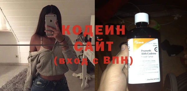 2c-b Гусев