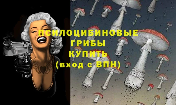 2c-b Гусев