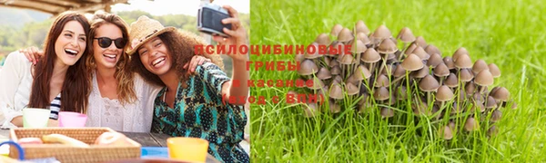 таблы Гусиноозёрск