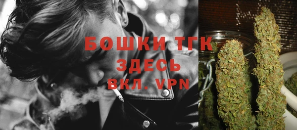 2c-b Гусев
