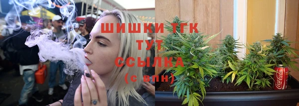 2c-b Гусев