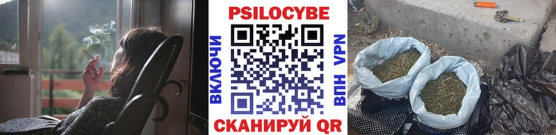Галлюциногенные грибы Magic Shrooms  Заозёрск 